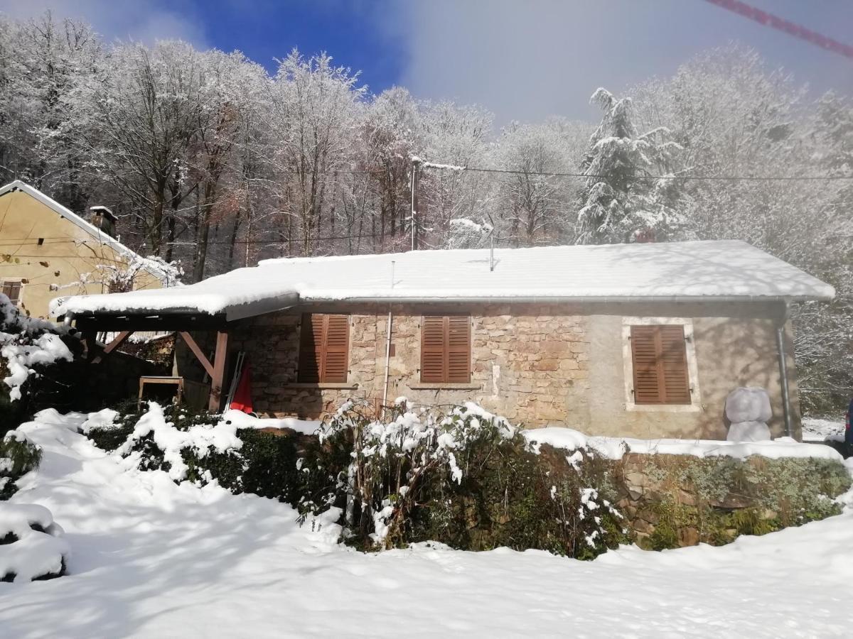 Gite Rural Les Maires D'Avaux Saint-Bresson Exterior photo
